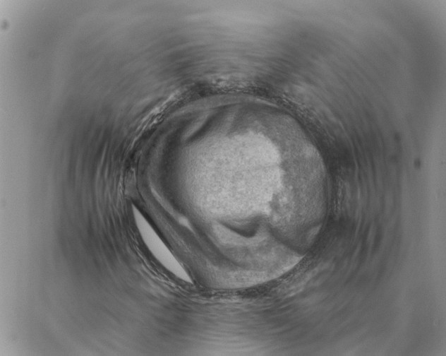 X0000088371250200706121111