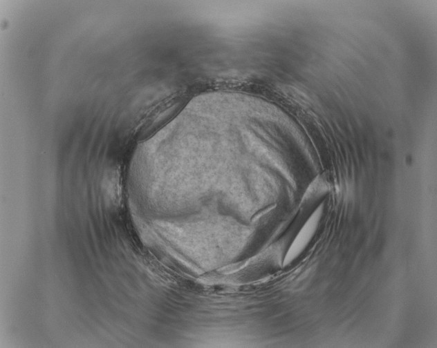 X0000088371252200706121111