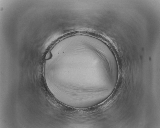 X0000088371263200706121111
