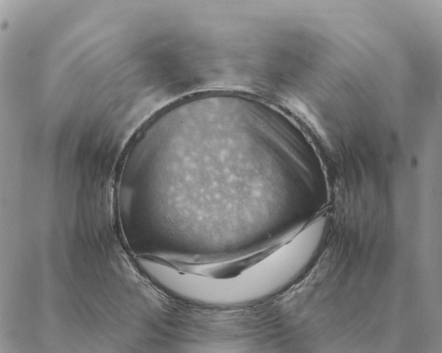 X0000088371268200706121111