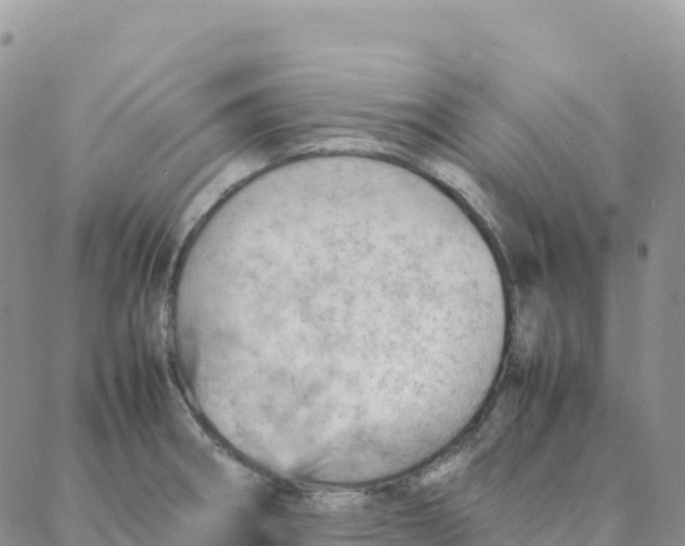 X0000088371282200706121111