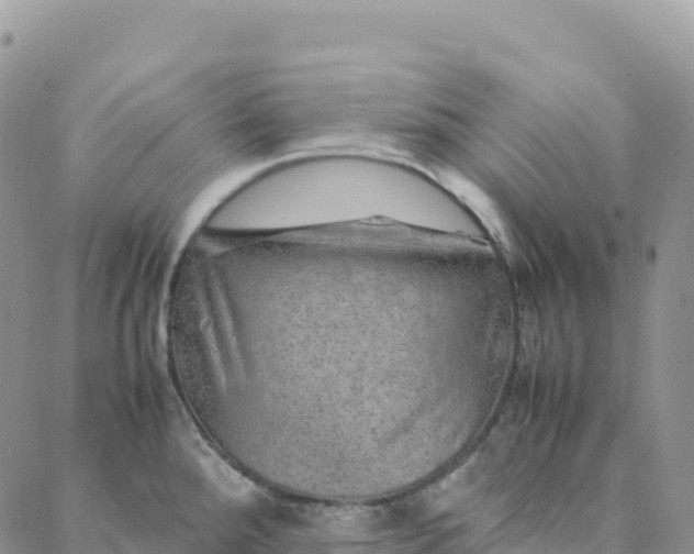 X0000088371288200706121111