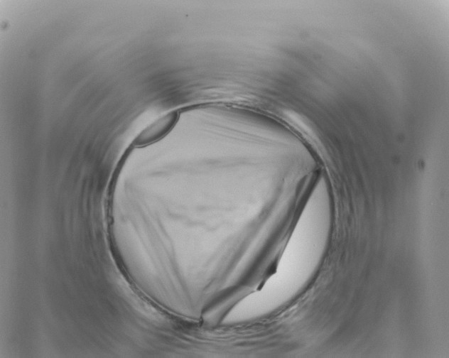X0000088371291200706121111
