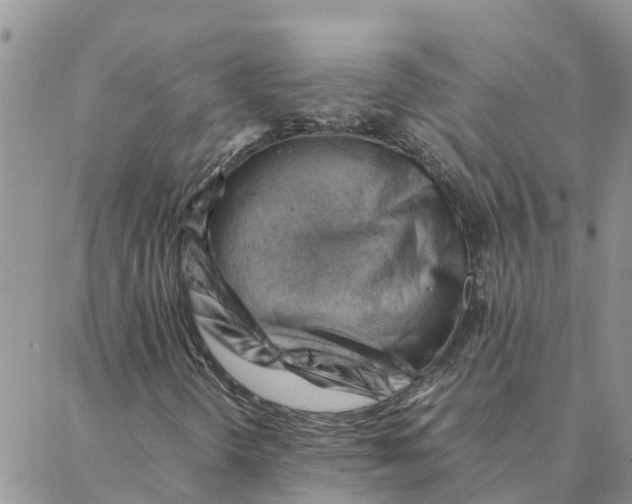 X0000088371298200706121110