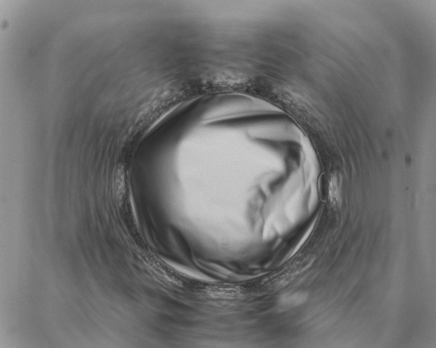 X0000088371299200706121110