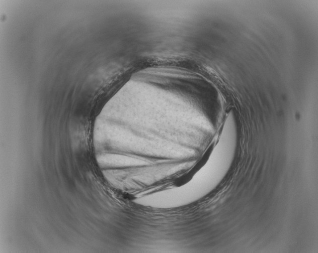 X0000088371300200706121110