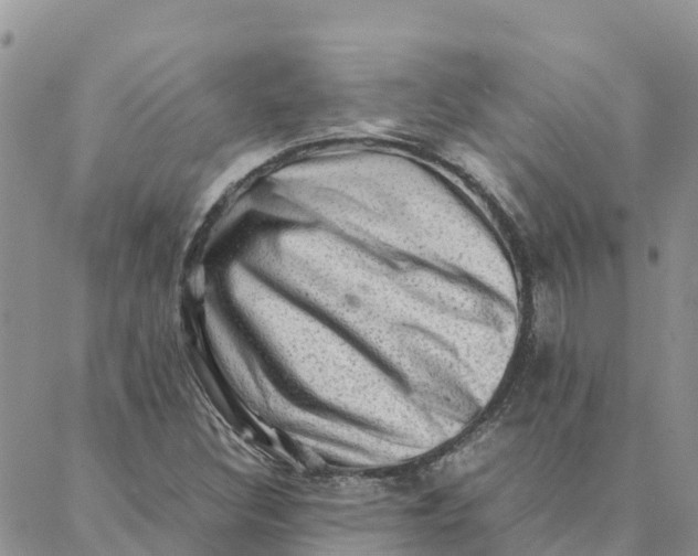X0000088371308200706121110