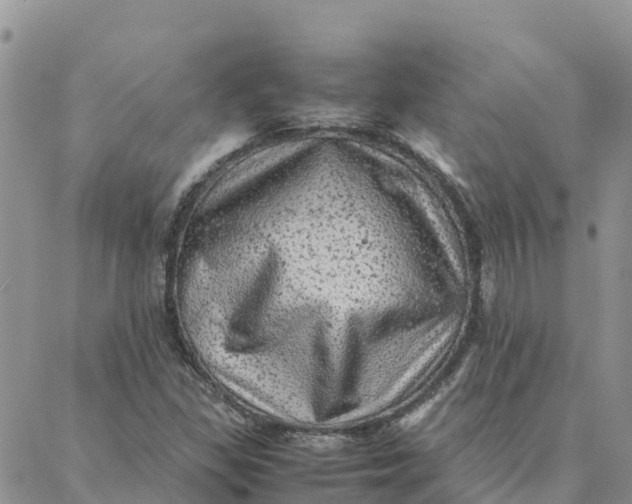 X0000088371309200706121110