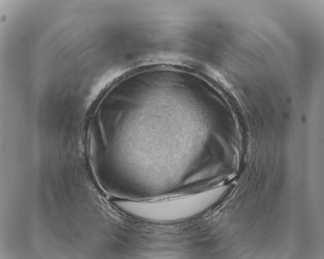 X0000088371312200706121110