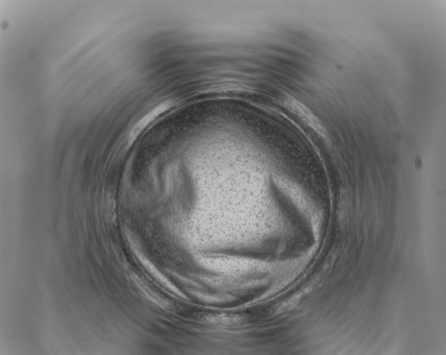 X0000088371321200706121110