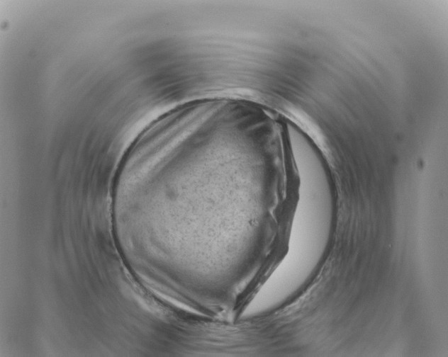 X0000088371332200706121110