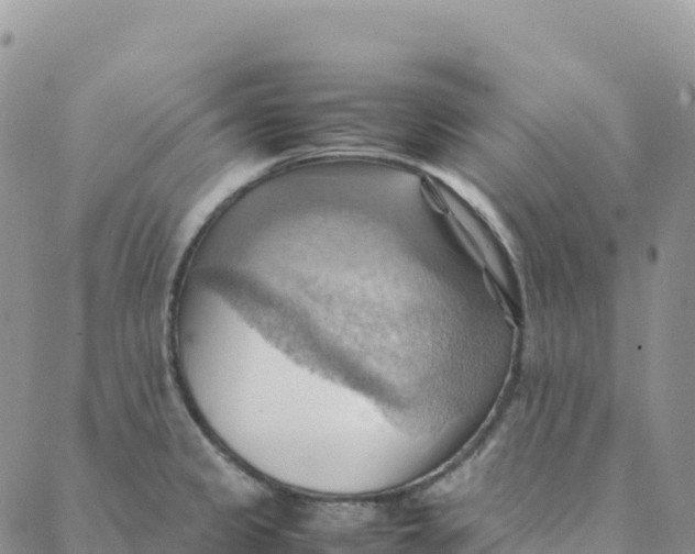 X0000088371333200706121110