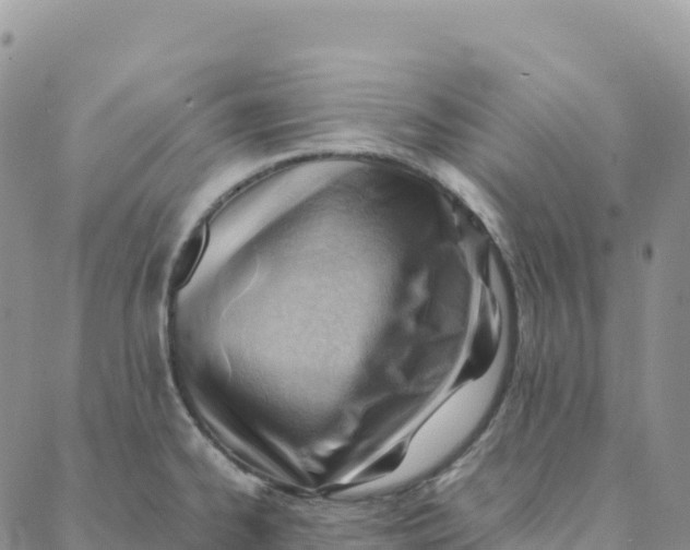 X0000088371334200706121110