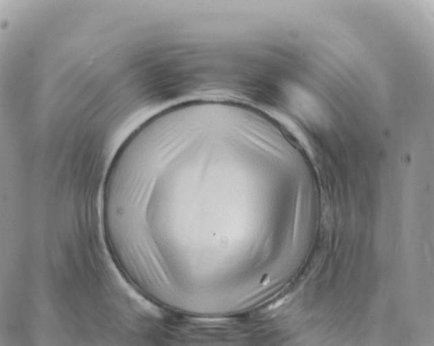 X0000088371343200706121110
