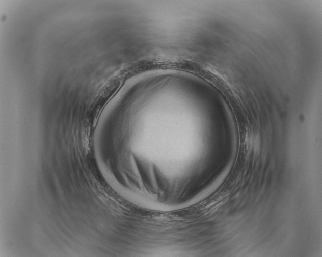 X0000088371348200706121110