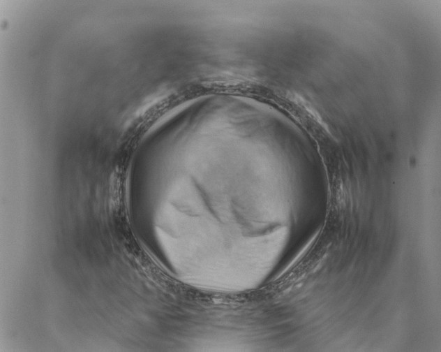 X0000088371350200706121110