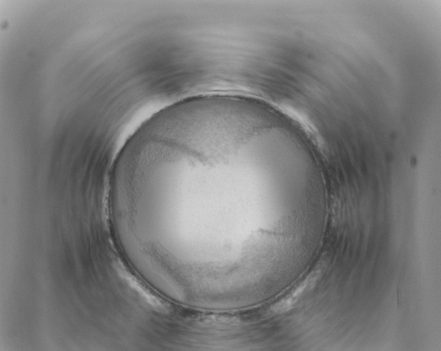 X0000088371374200706121109