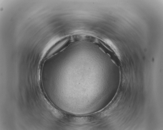 X0000088371376200706121109