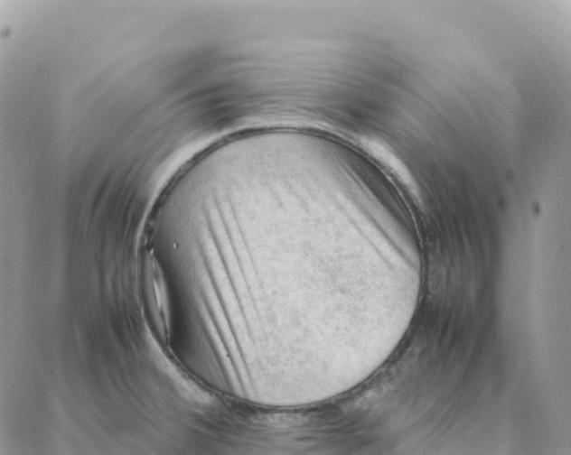 X0000088371380200706121109