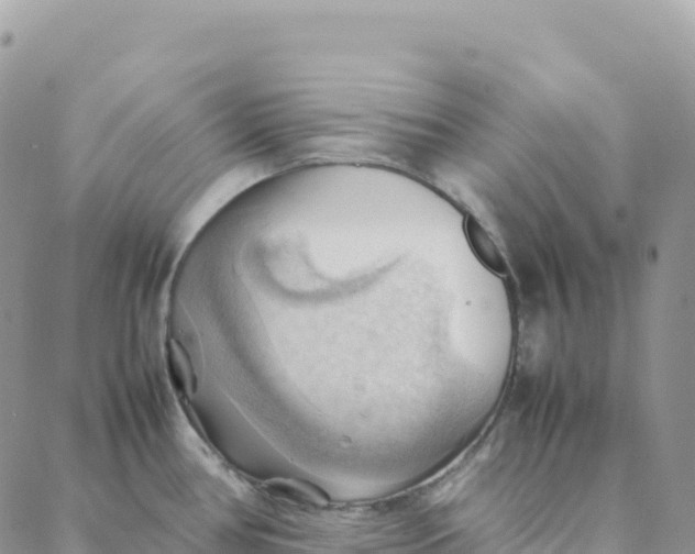 X0000088371386200706121109