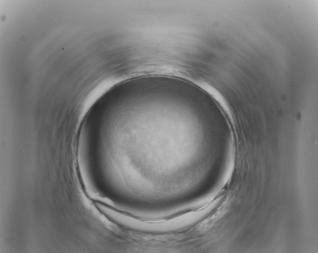 X0000088371389200706121109