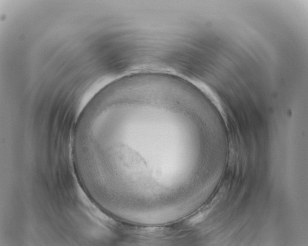 X0000088371390200706121109