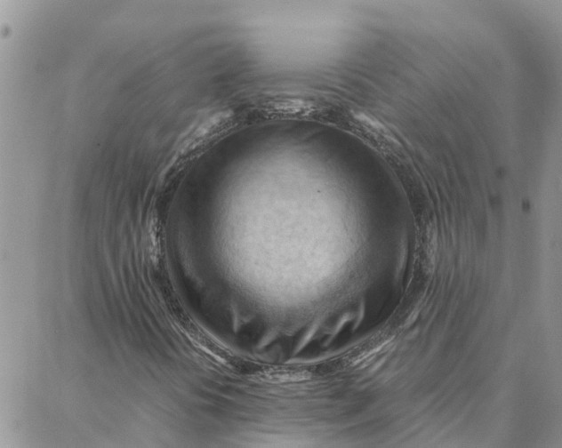 X0000088371394200706121108