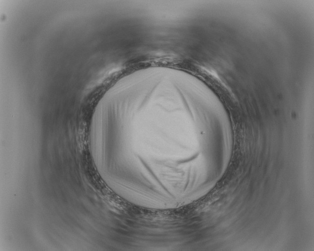 X0000088371399200706121108