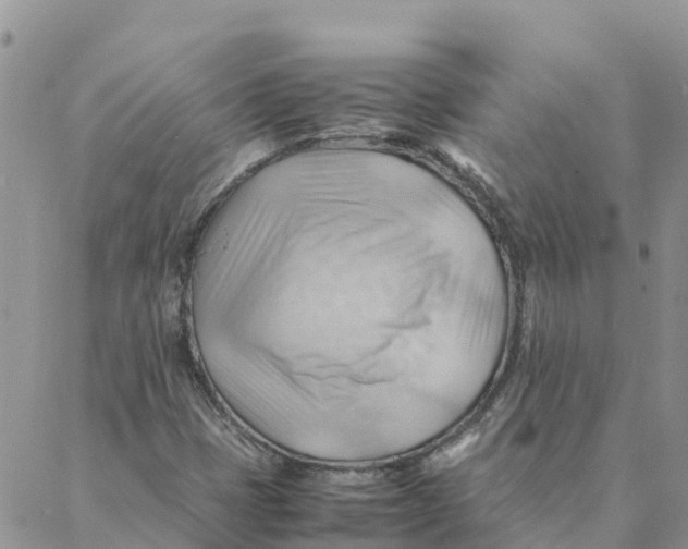 X0000088371401200706121108