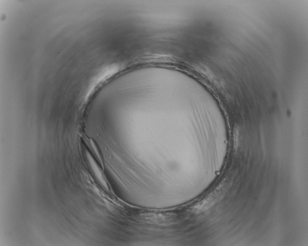 X0000088371405200706121108