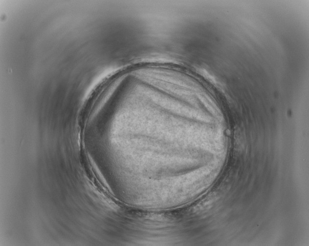 X0000088371408200706121108