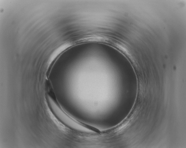 X0000088371426200706121109