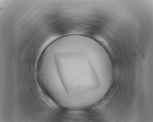X0000088371427200706121109