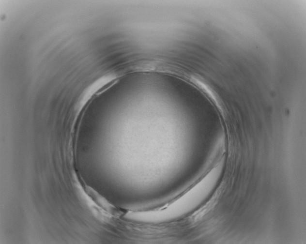 X0000088371434200706121109