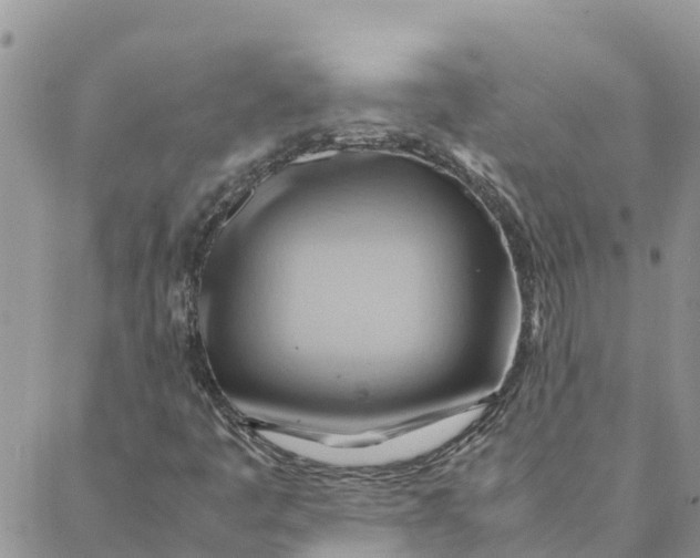 X0000088371445200706121108