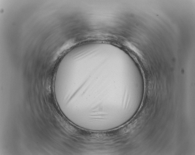 X0000088371451200706121108