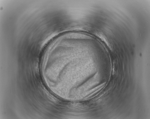 X0000088371452200706121108