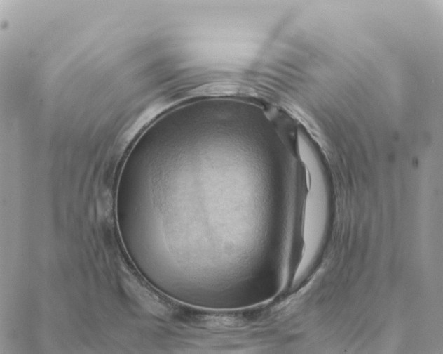 X0000088371465200706121108