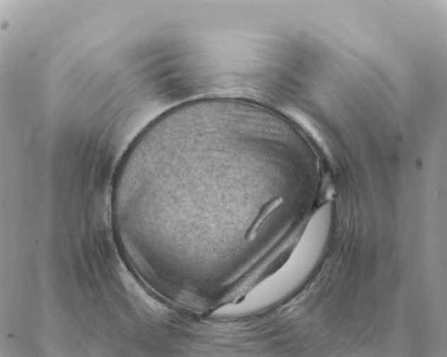 X0000088371468200706121108