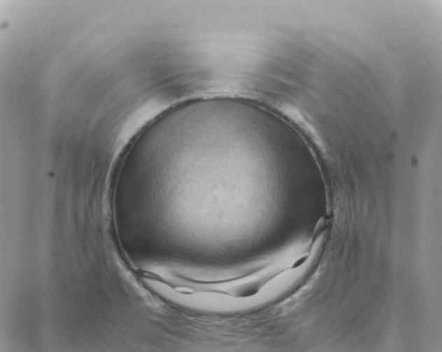 X0000088371469200706121108