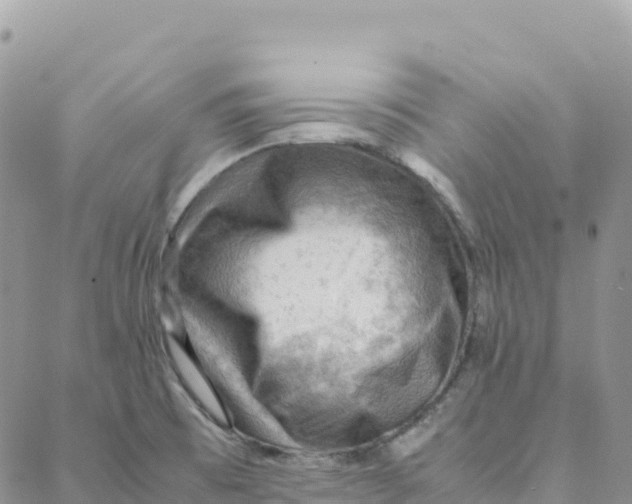 X0000088371473200706121108