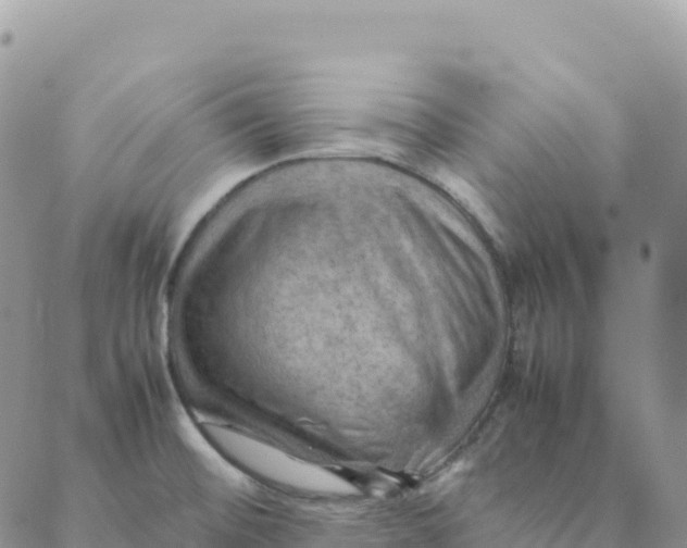 X0000088371476200706121108
