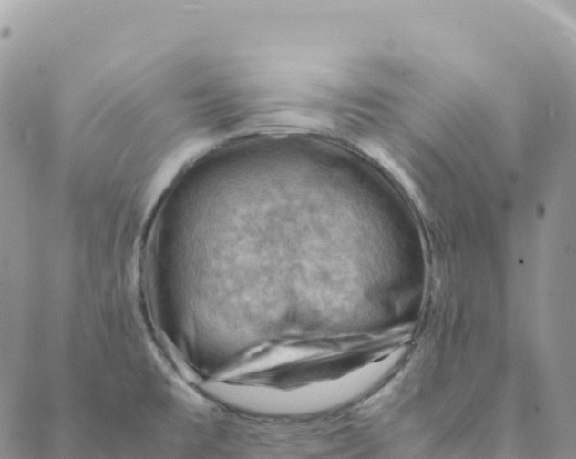 X0000088371477200706121108