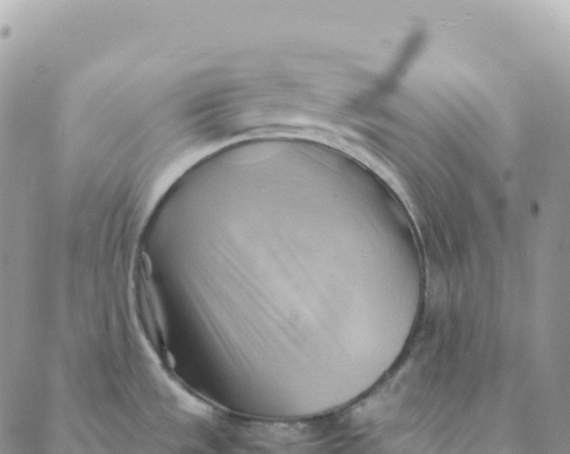 X0000088371533200706121107