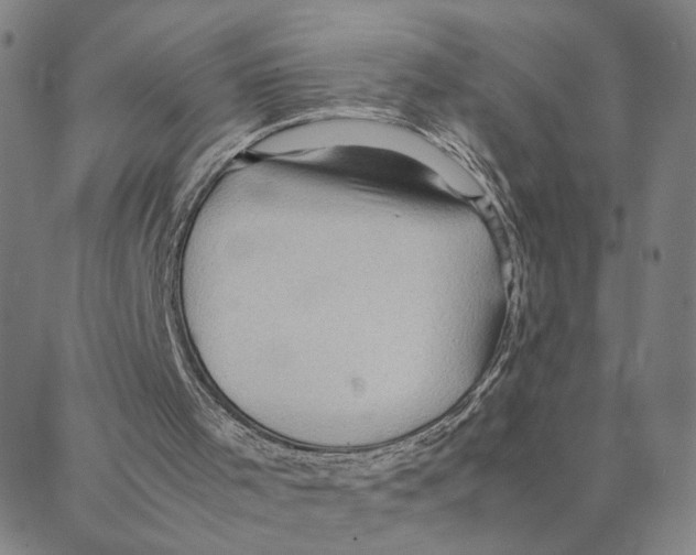X0000088370001200706191254