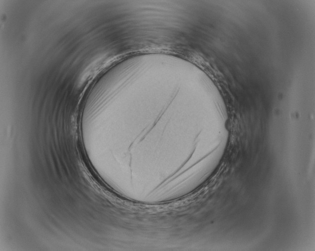 X0000088370002200706191254