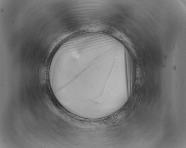 X0000088370012200706191254