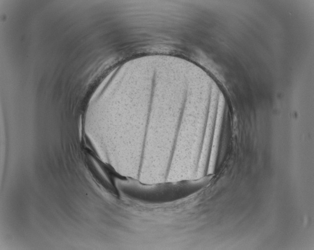 X0000088370013200706191254