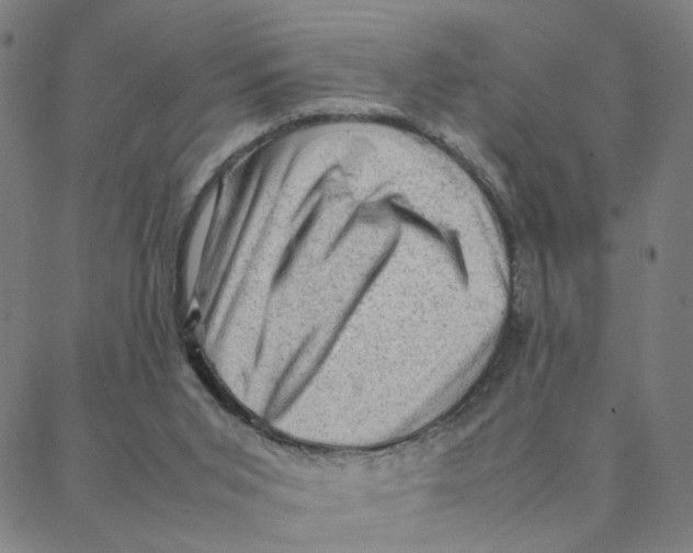 X0000088370015200706191254