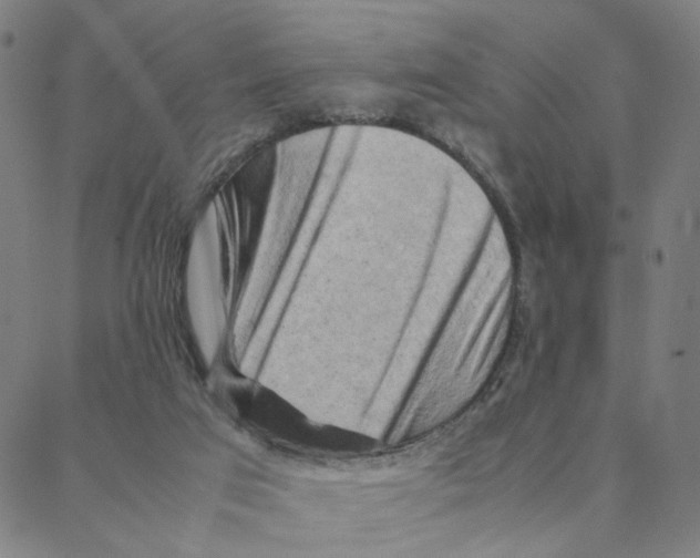 X0000088370017200706191254